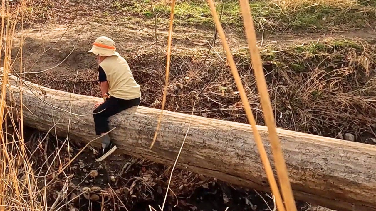 Exploring a Trail with my Son and Dog