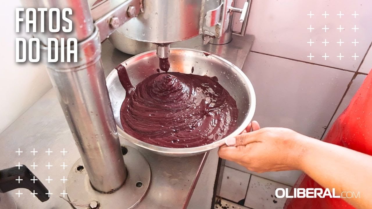 Com menor oferta, entressafra do açaí começa a pressionar preços em Belém