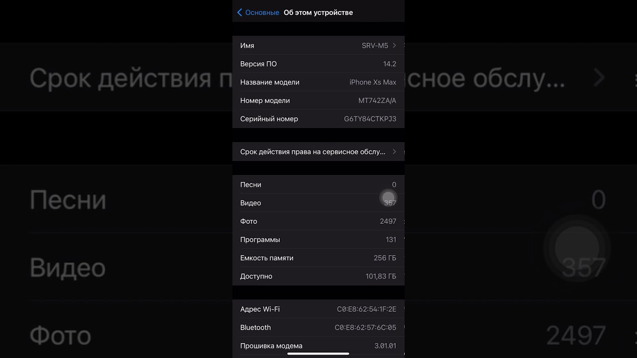 b0mb3r (sms bomber) on iPhone iOS 14.2 with stable working iSH (Linux)