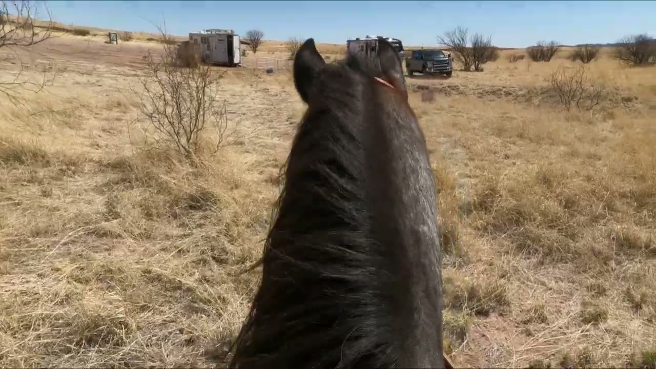 SE Arizona