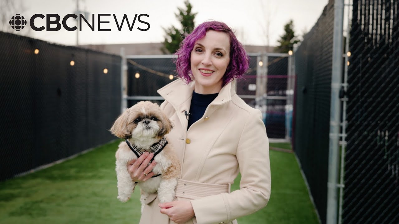 From wolves to wiener dogs: the evolution of 'pet parents&rsquo;