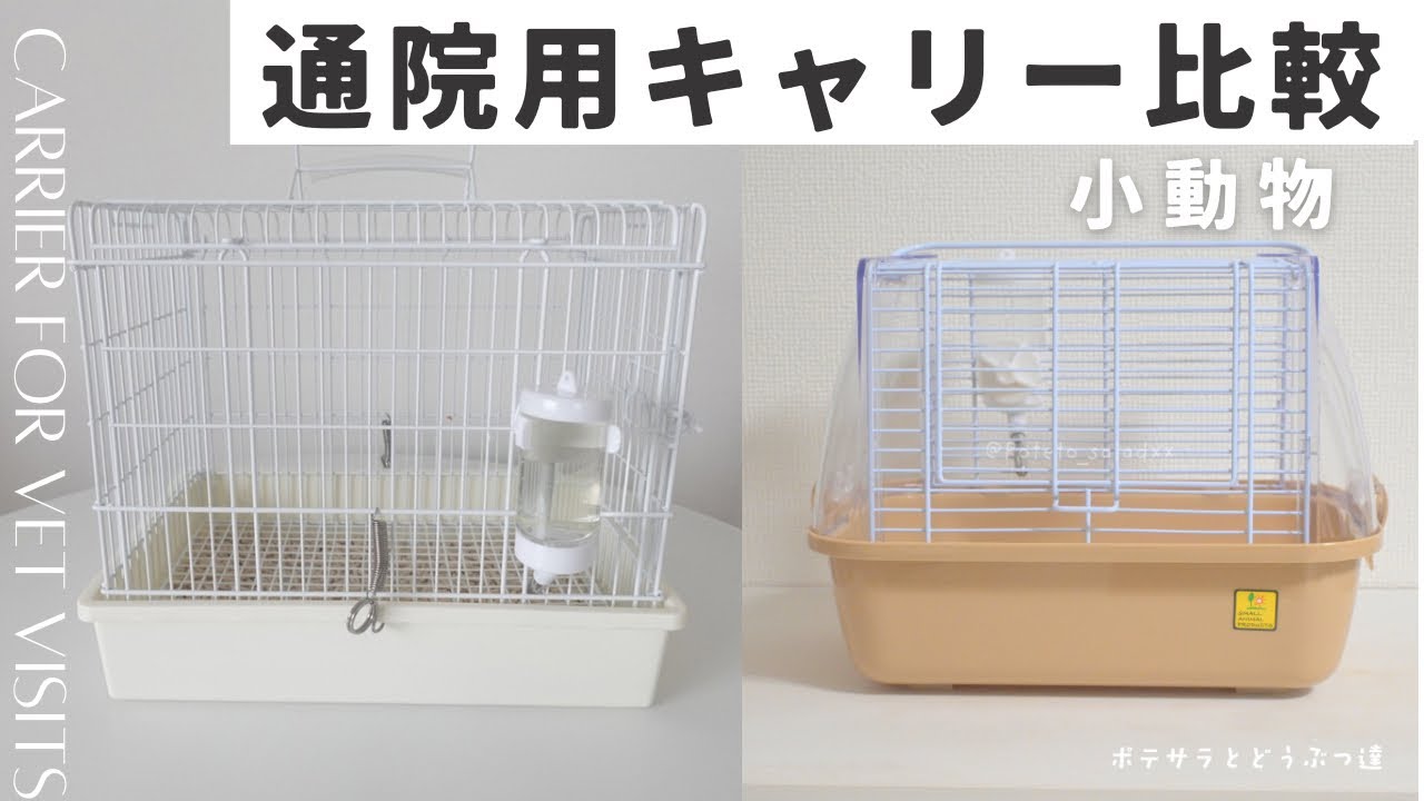 【ウィズキャリーM】小動物用の通院キャリーを比較【ライトキャリーS】