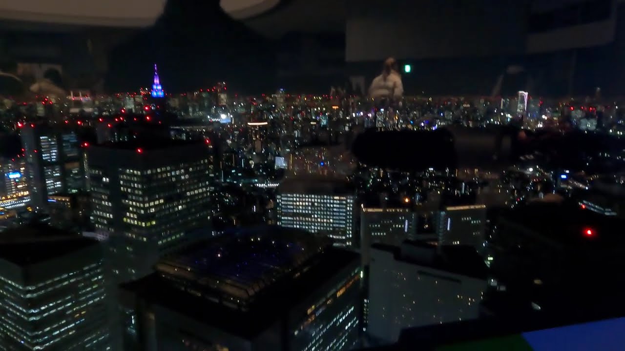 Tokyo Metropolitan Building Gopro 9