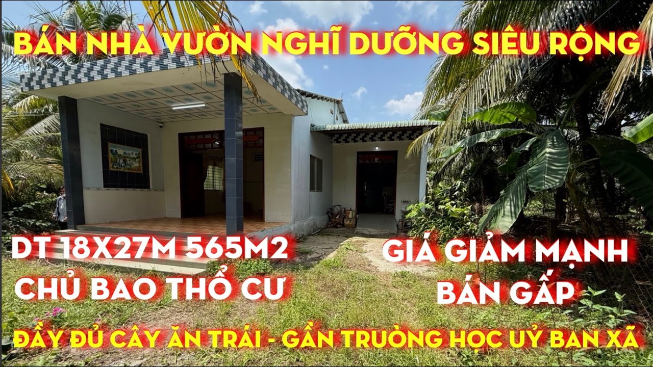 Tập 202 làm ăn thất bại,giảm giá thêm,bán nhanh căn nhà vườn đầy đủ cây ăn trái,chủ bao có thổ cư