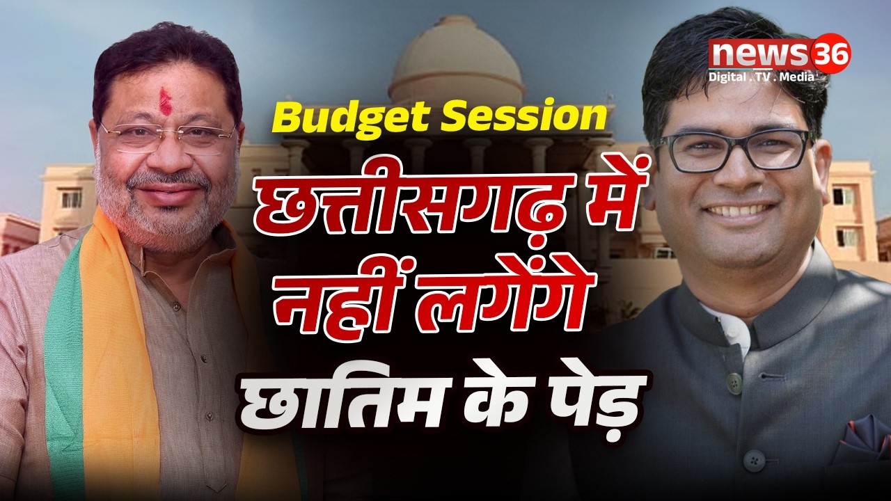 छत्तीसगढ़ में नहीं लगेंगे बीमारी फैलाने वाले छातिम के पेड़, मंत्री ओपी चौधरी ने की घोषणा