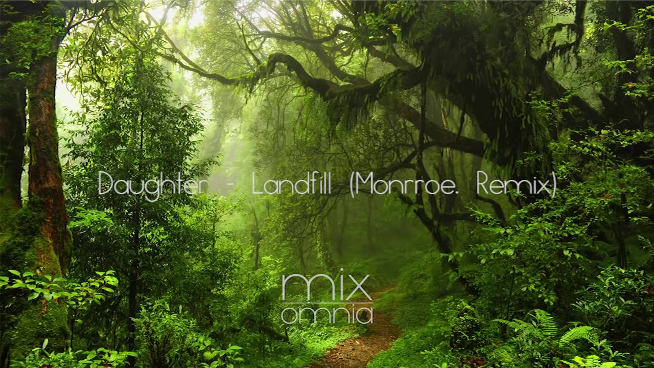 The Silent Forest - Chillstep Mix
