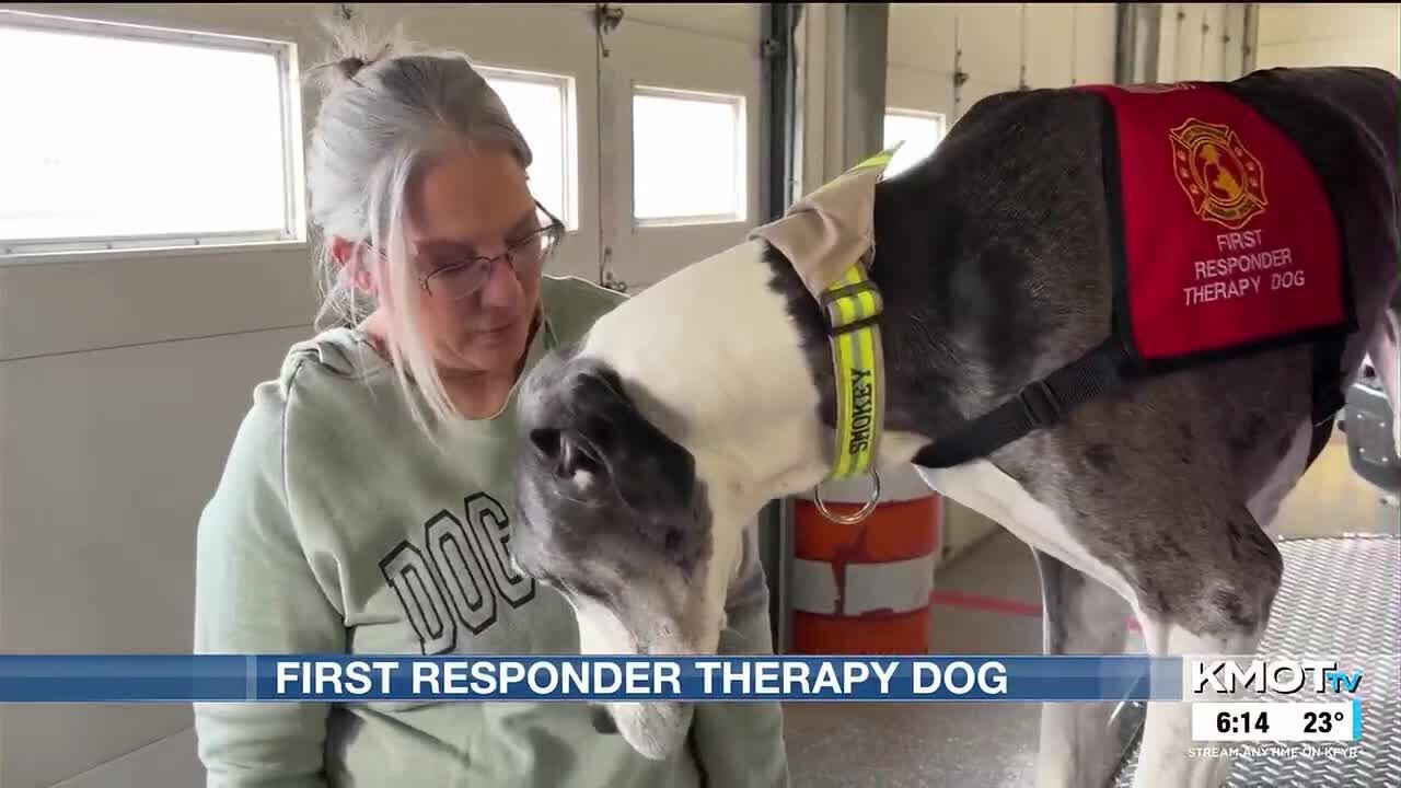Therapy dog provides comfort, relief for first responders
