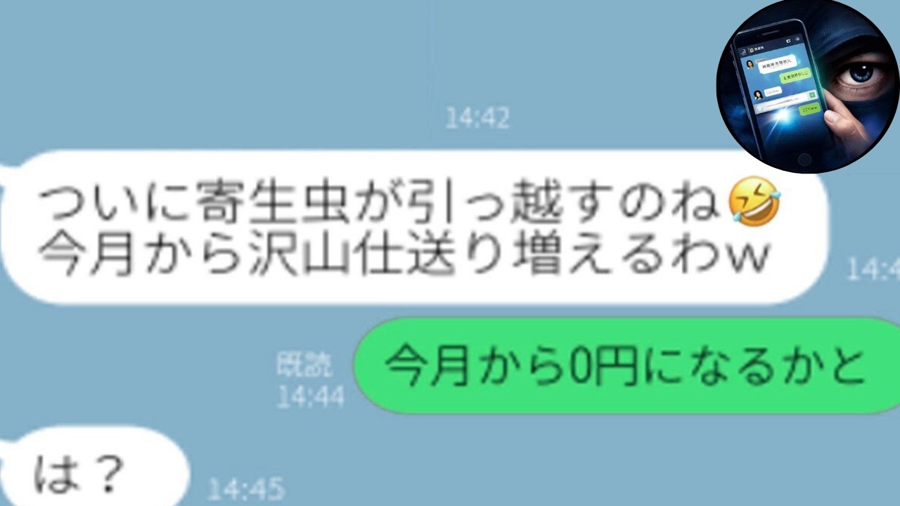【LINE】仕送りしてるのは私なのに寄生虫扱い→クズ姑が離婚要求した結果ｗ