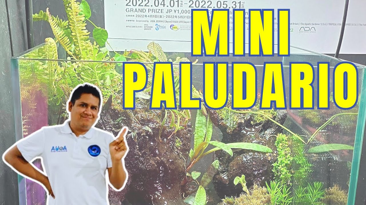 MONTAJE PASO A PASO DE UN MINI PALUDARIO | GUÍA COMPLETA