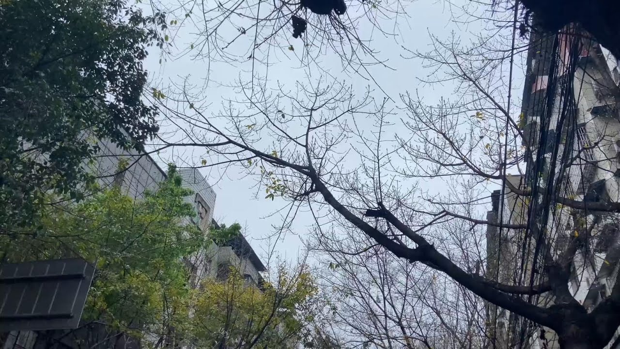 公婆偷偷干了啥被儿媳撞见？儿媳立即送上惊喜，这样的公婆真可爱 #日常vlog #好公婆好儿媳 #来自父母的爱 #婆媳相处