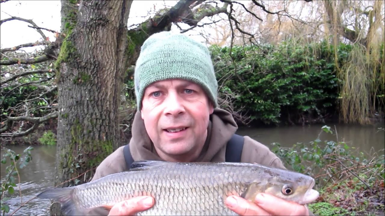 Float fishing for chub on the River Blackwater