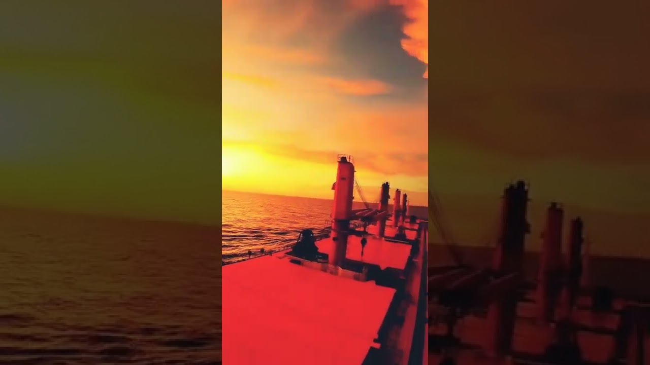 Merchant Navy Bulk Carrier Ship || Shorts || Status 🚢