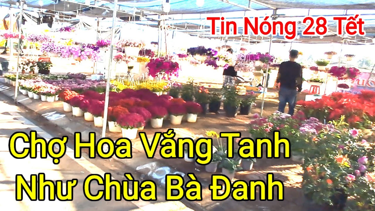 Chợ hoa 28 tết vắng tanh như chùa bà đanh chủ vựa kêu than