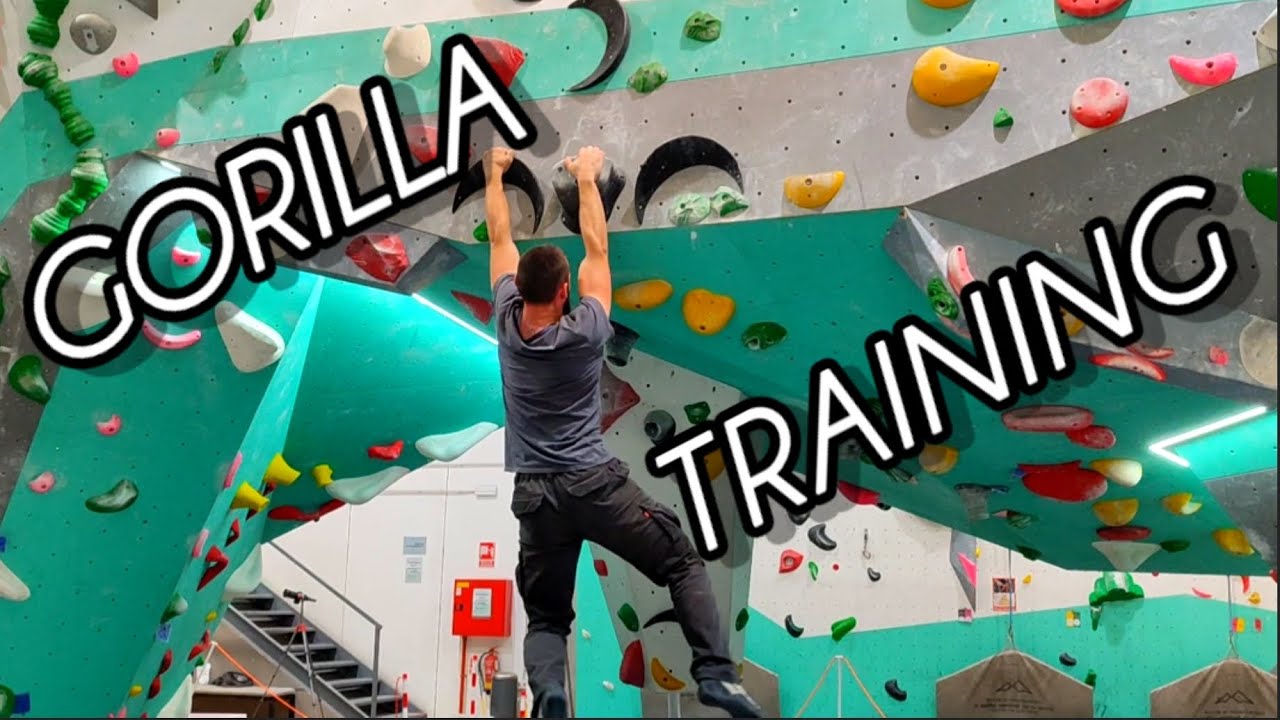 TRAINING like a GORILLA 🦍