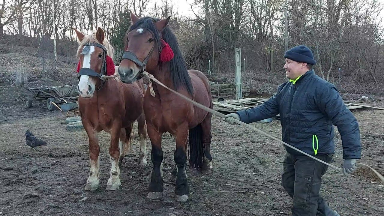 📢🥁🔔Дуже гарний продаж 👍син Харі- Захар та його мати💣🔥💫