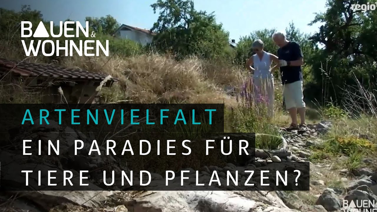 Artenvielfalt im naturnahen Garten I BAUEN & WOHNEN