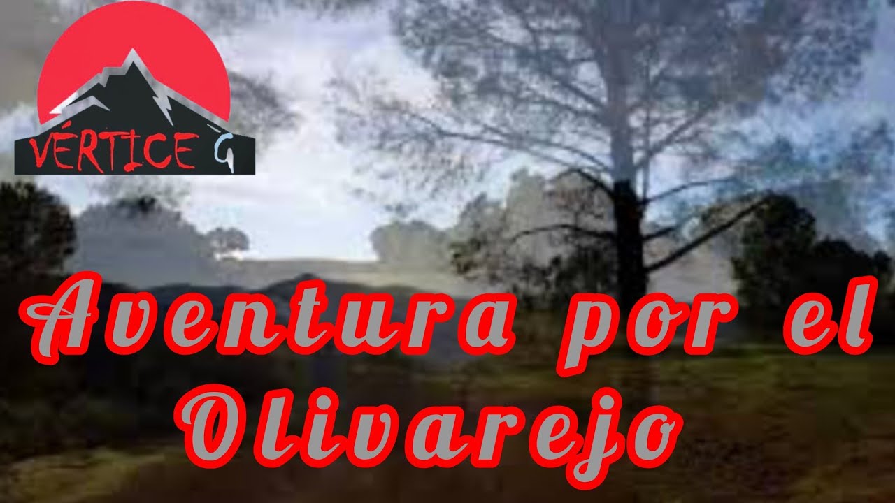 AVENTURA POR EL OLIVAREJO 