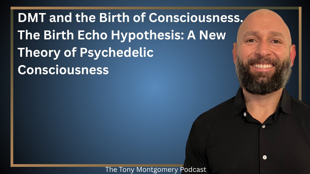 DMT and the Birth of Consciousness: The Birth Echo Hypothesis: A New Theory of Psychedelic Conscious