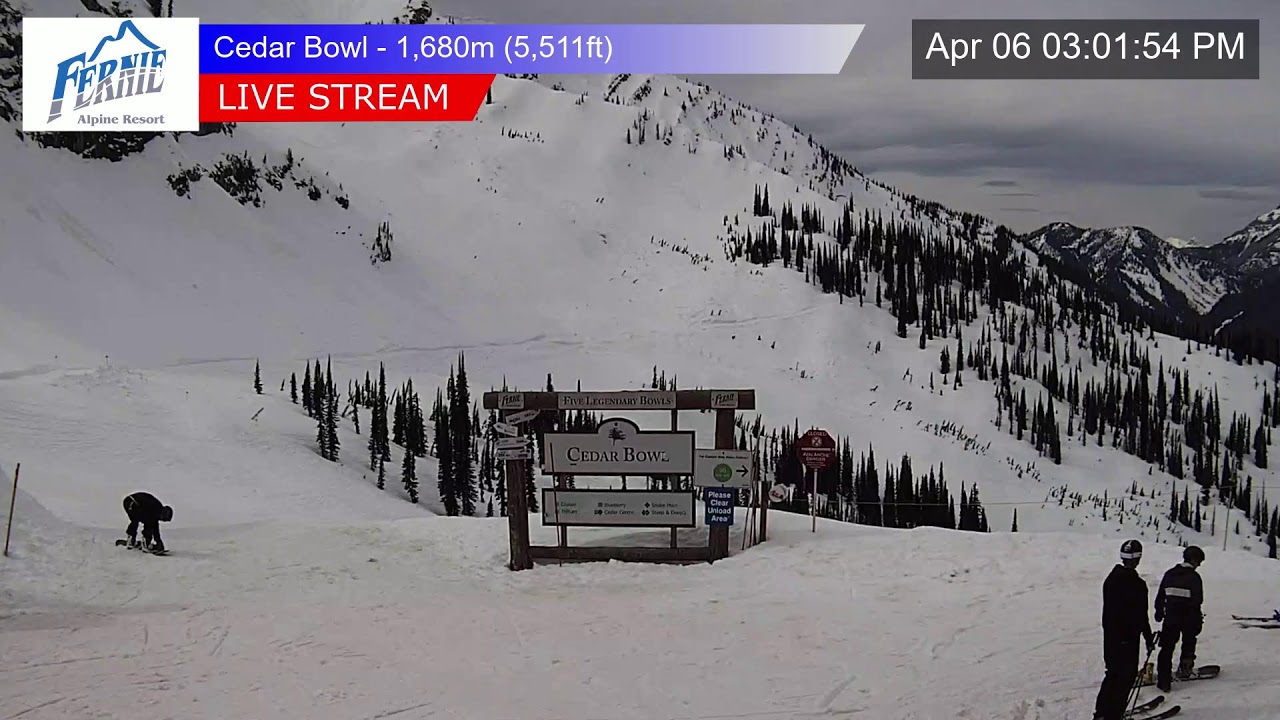 Fernie - Cedar Bowl  1,680m (5,511ft) - Live Cam