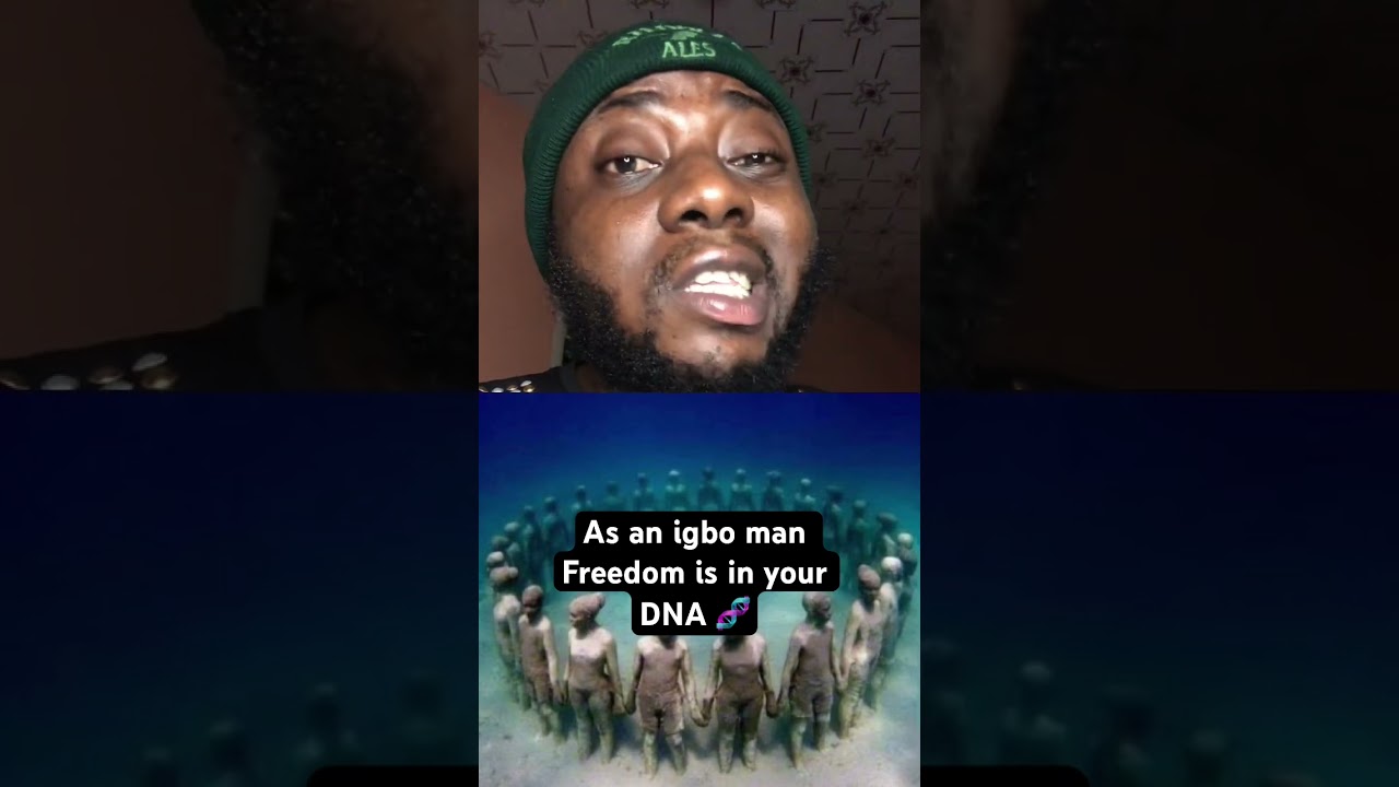 The Igbo man is born free #fypp #viralshort #igbonation #igbomen #biafra #biafraexit #biafraexit #fy