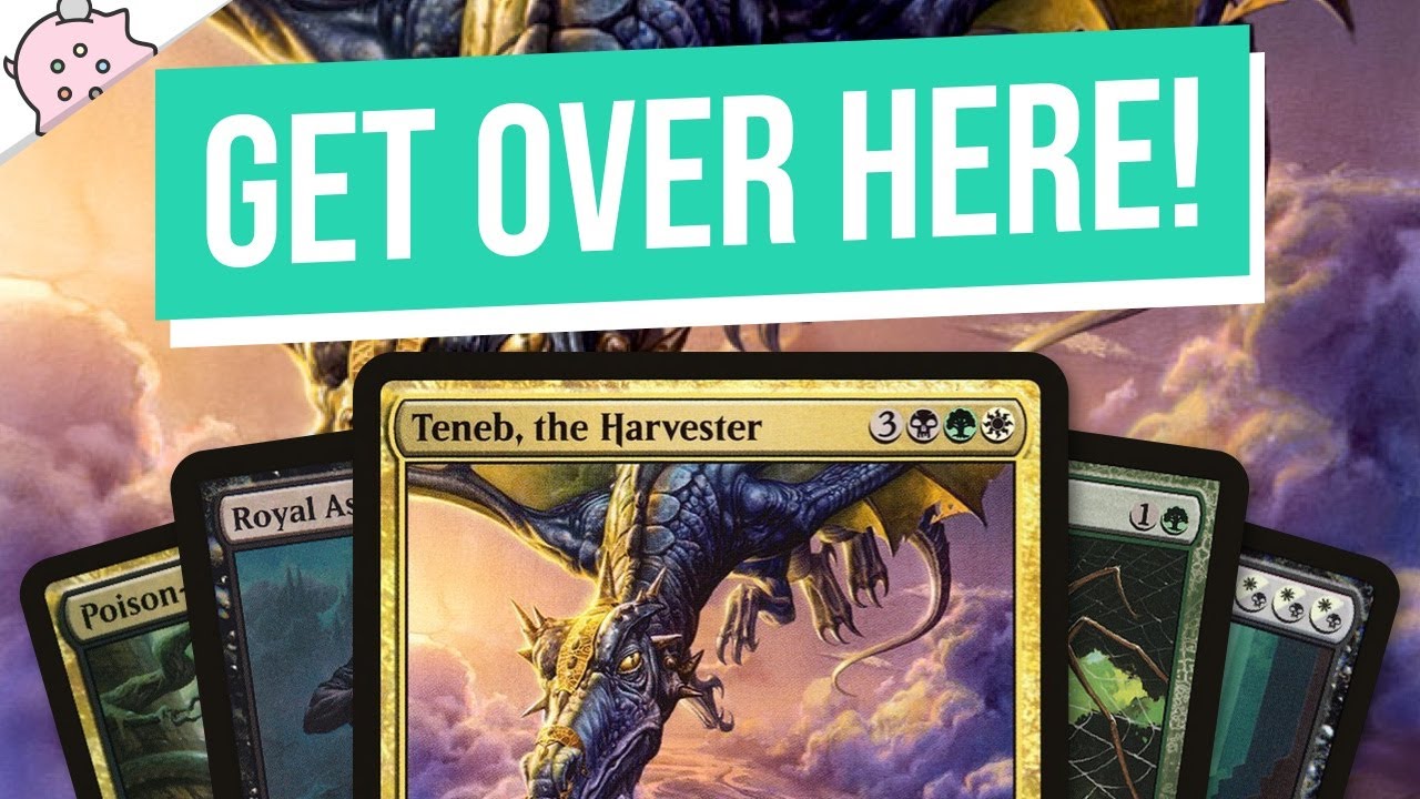 Teneb, the Harvester | Snipers and Assassins | Budget Commander Deck Tech | EDH | MTG | Commander