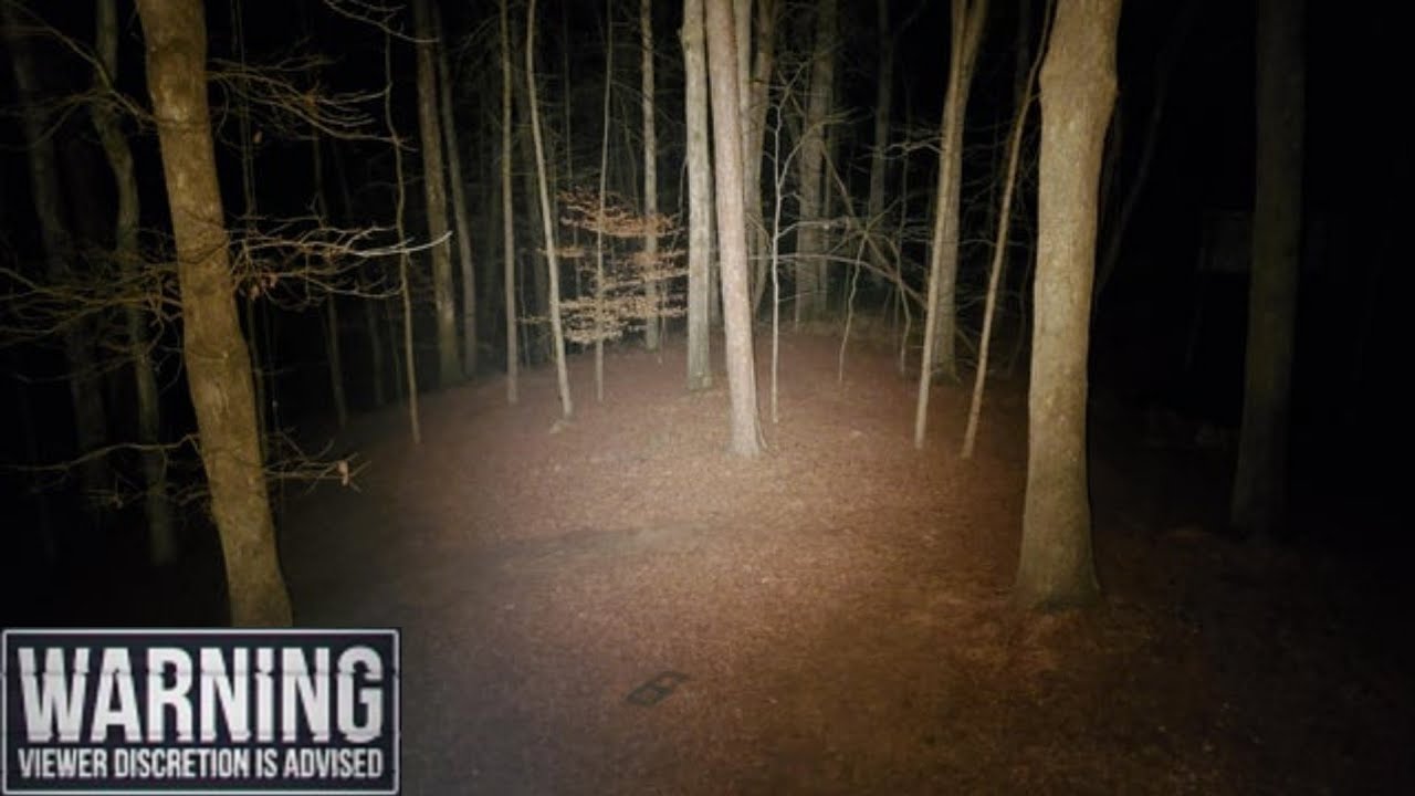 GHOST HUNTING AT CANNOCK CHASE (BLACK EYED CHILDREN)