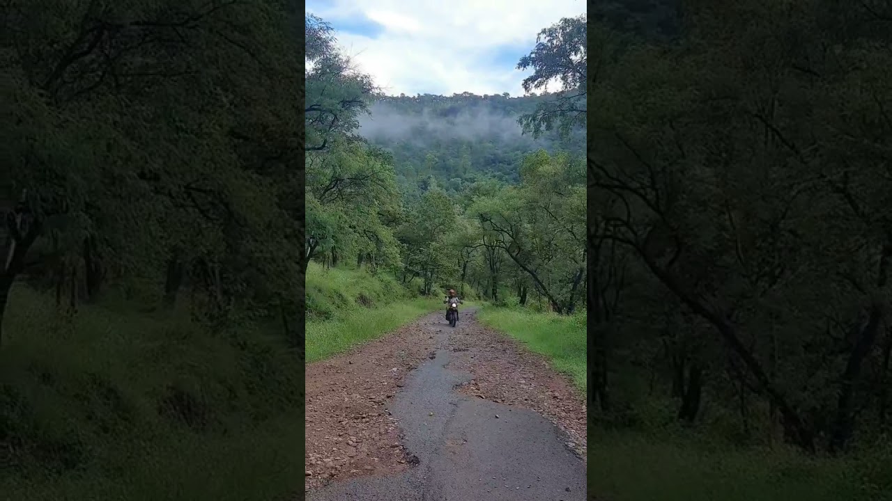 Mutthatthi forest ride..ಮುತ್ತತ್ತಿ ಕಾಡು