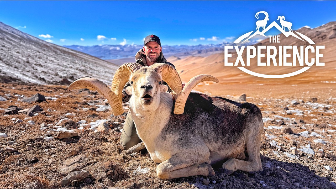 Chasing The Dream | Marco Polo Sheep | Tajikistan Hunting