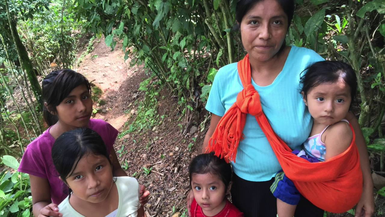 VIAJE A LO INEXPLORADO MEXICO VBS