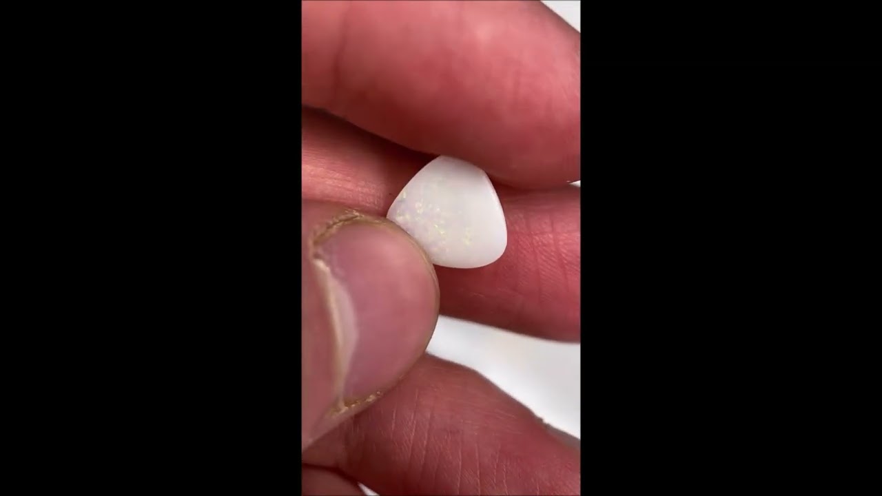 Wei&szlig;er Opal Muschelschale - Seltenes Fossil aus Coober Pedy