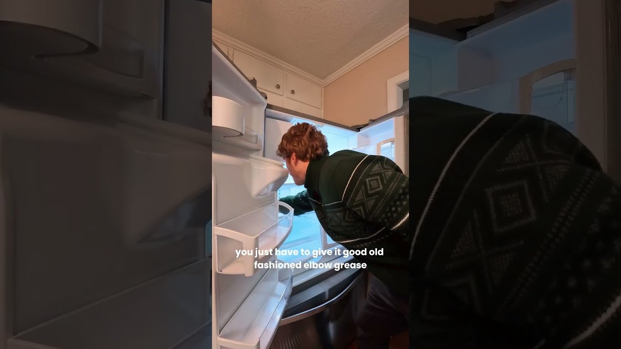 The Green way to clean your fridge