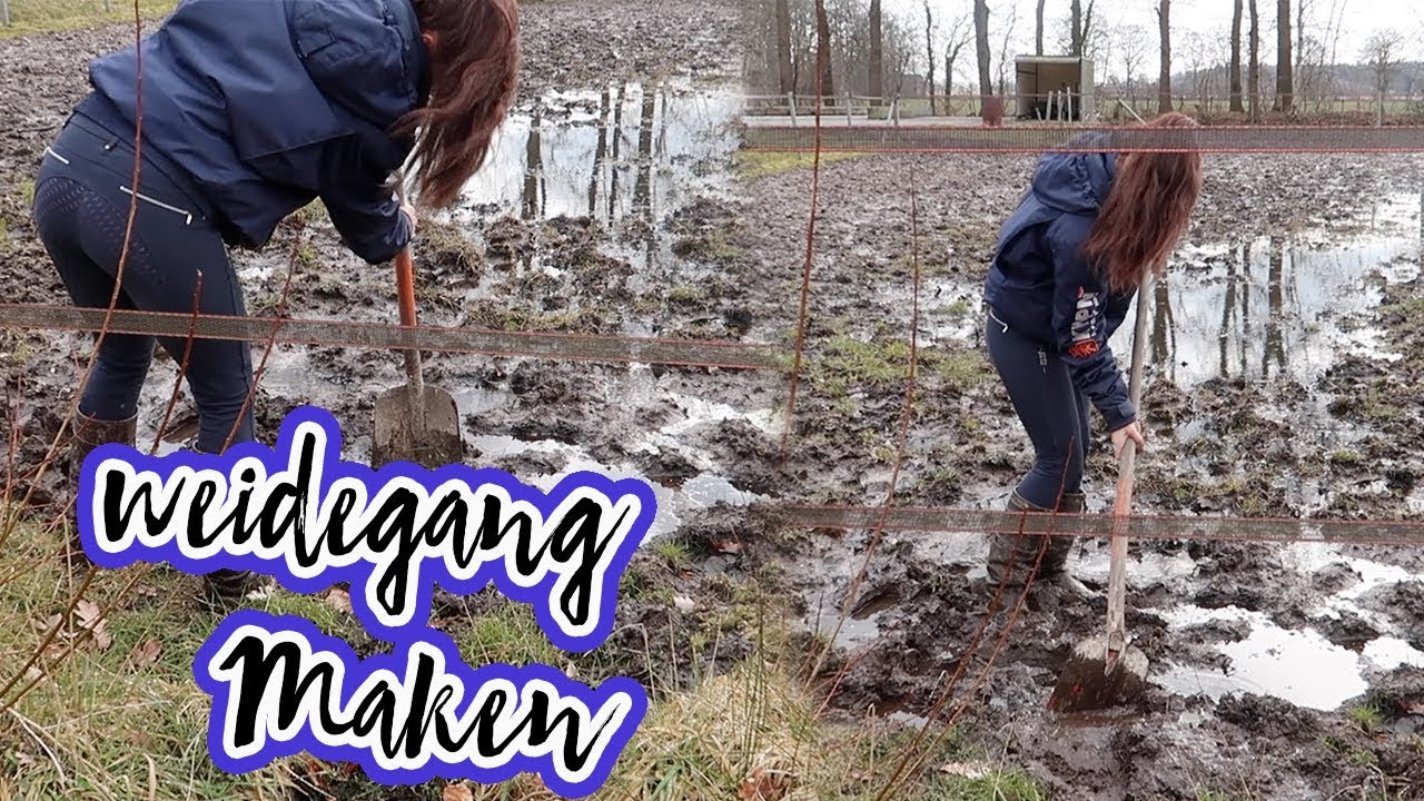 VLOG#45 Voorbereiding op de nieuwe stal