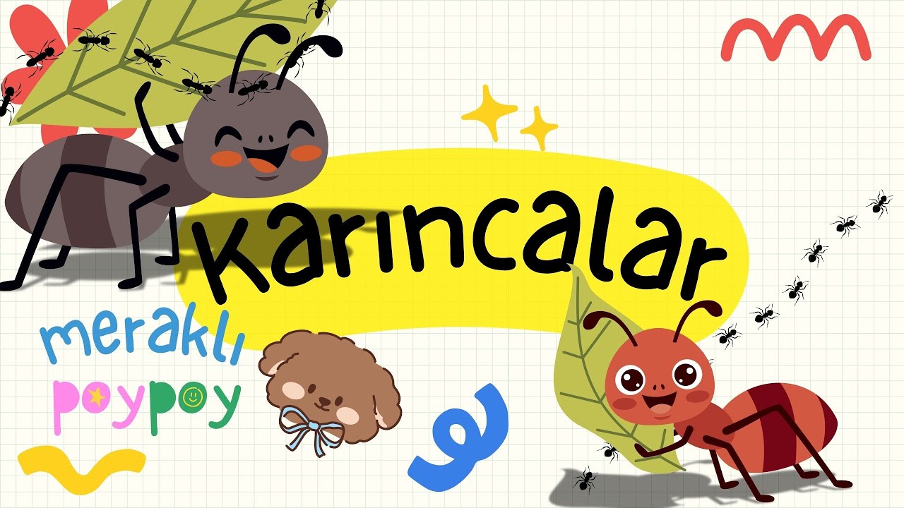 Karıncalar | Eğitici Türkçe Çocuk Şarkısı | Meraklı PoyPoy