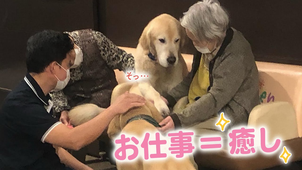お仕事は「癒す」！　老人ホームで働き暮らす、個性豊かすぎるゴールデン一族｜PECO