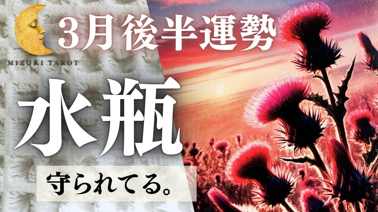 新たな自分の発見💎未来に向けて、共に進みましょう🤝【みずがめ座3月後半運勢】