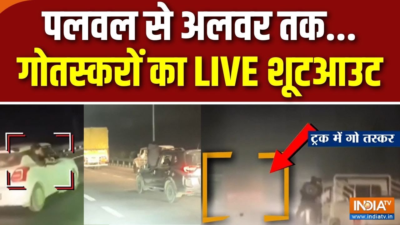 Shootout With Cowsmuggler : पलवल से अलवर तक..गोतस्करों का LIVE शूटआउट | Breaking News | Viral Video