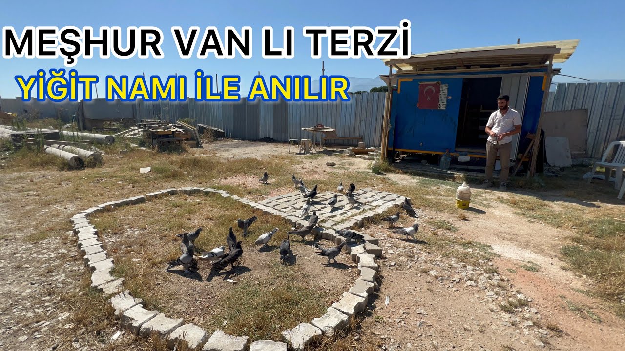 NAMI DEĞER TERZİ NİN NAMLI TAKLACI GÜVERCİNLERİ