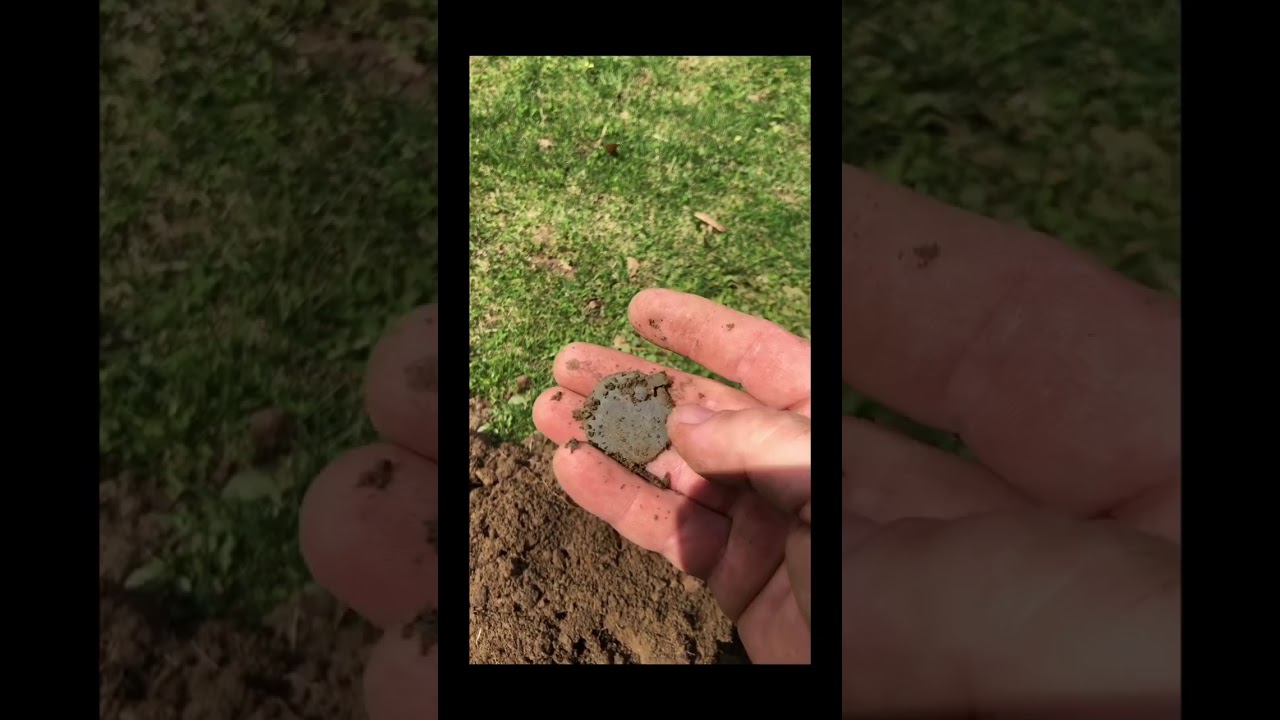 Sunday digging day