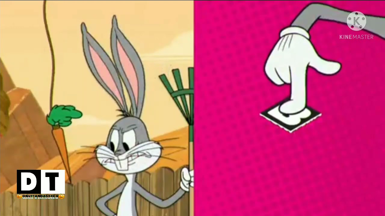 Tanda Comercial Boomerang Feed México Sábado 23 de Octubre 2021