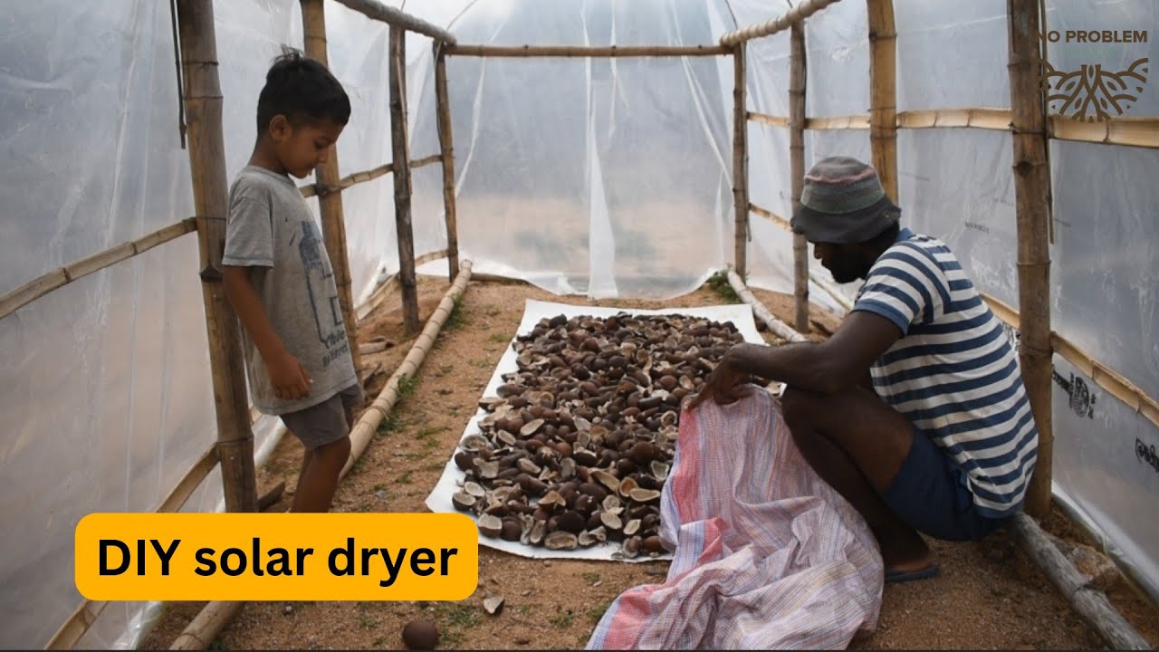Boosting our farm's sustainability with a DIY solar dryer