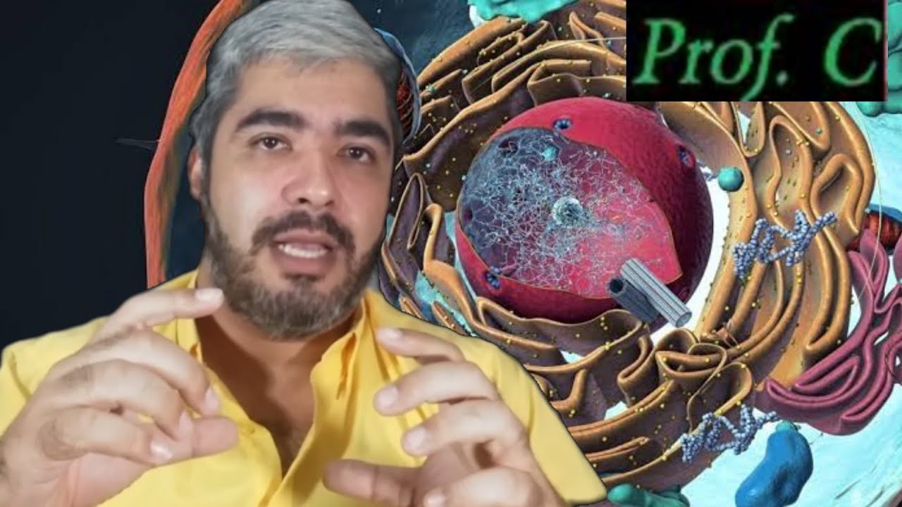 O que é uma Célula