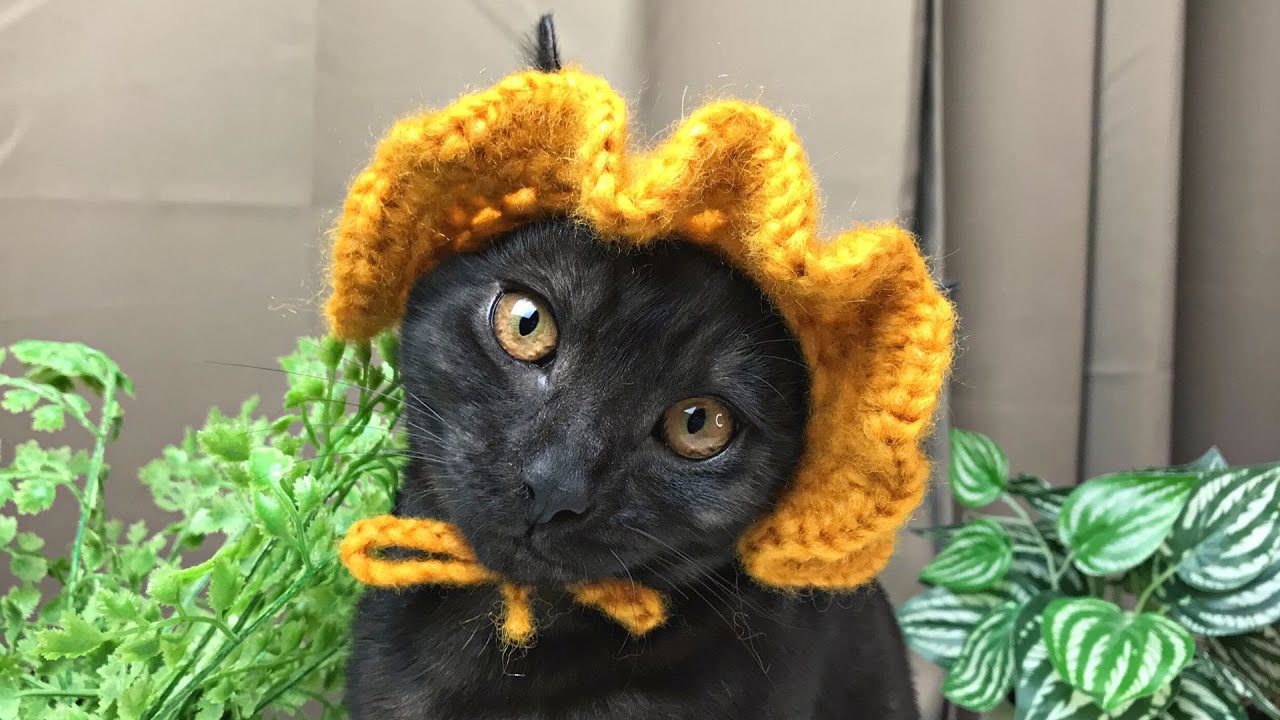 Я связала кошачью шапку крючком менее чем за *1 ЧАС*! Супер ПРОСТО!