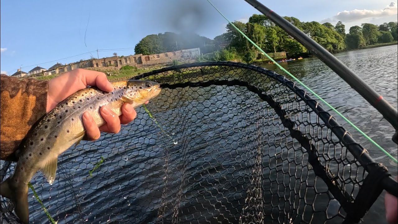 Fly fishing for sea trout on the Erne estuary!