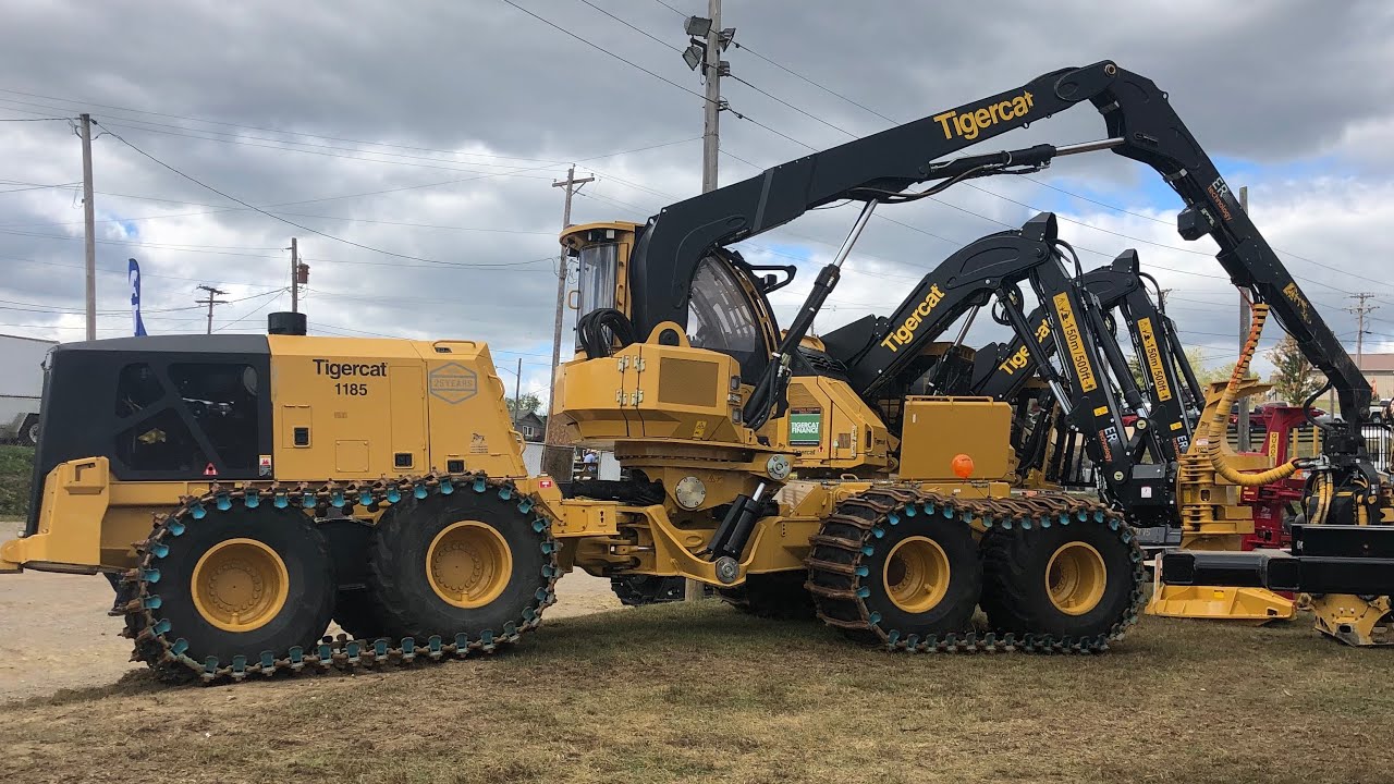 WOW, Amazing Event - 2019 Paul Bunyan Show