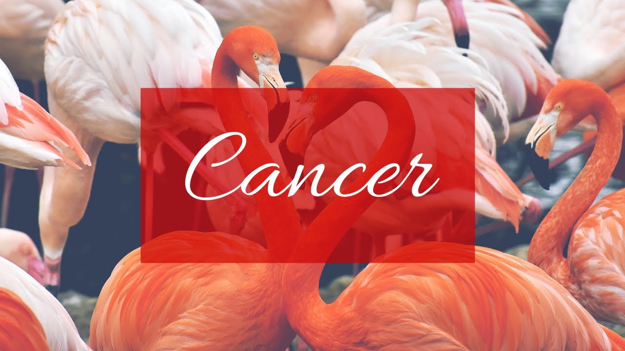 Cancer❤️The one you are not talking to right now: Their thoughts, feelings, intentions & actions!