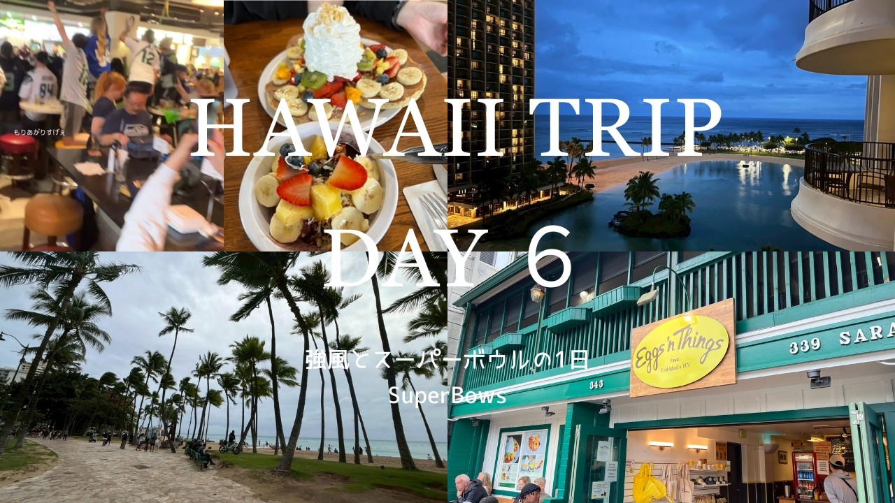【HAWAII VLOG🌺】　DAY 6 　7泊9日のハワイ夫婦旅行！　egg’s things / super bowl / 興奮の1日でした！