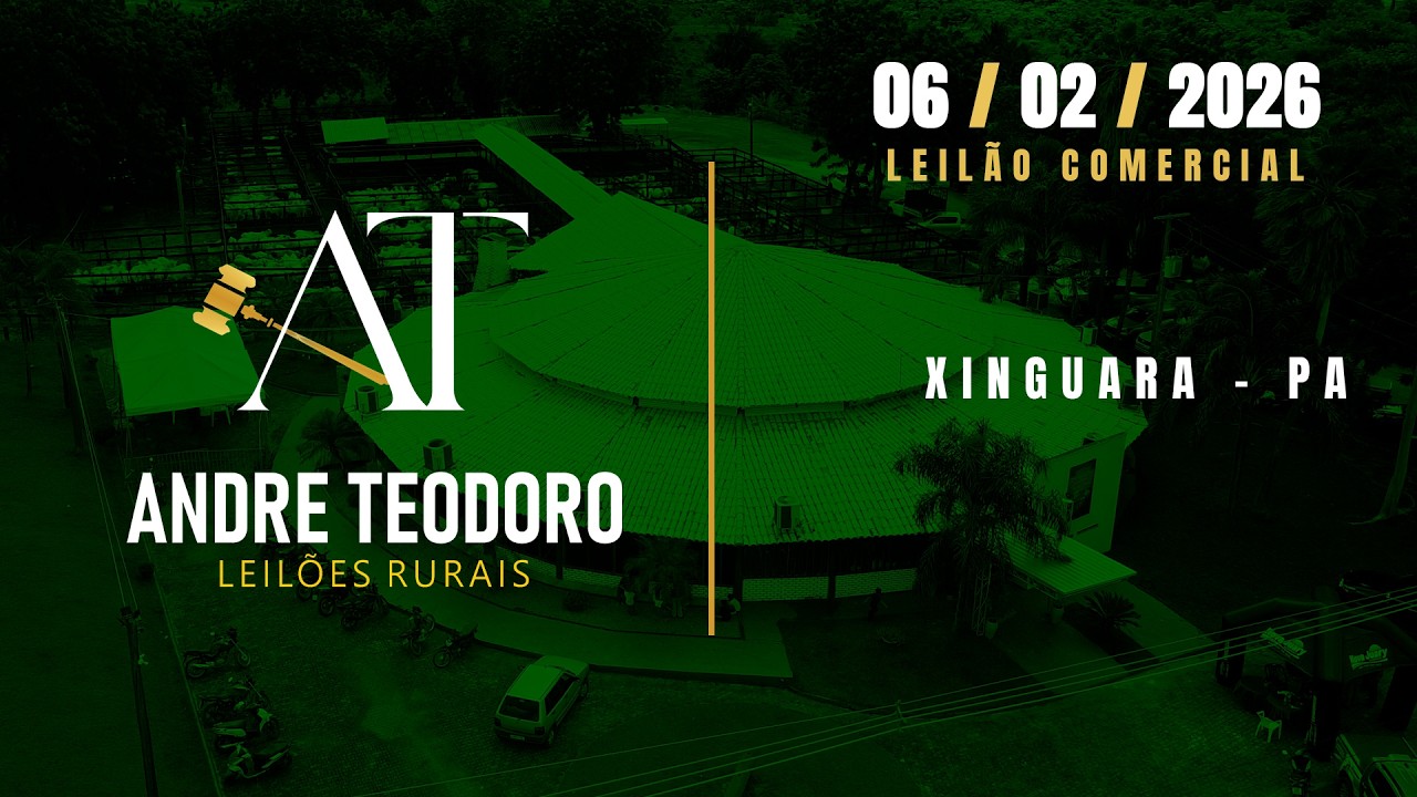 Leilão Comercial - André Teodoro Leilões Rurais - 06/02/2026 - Xinguara/PA