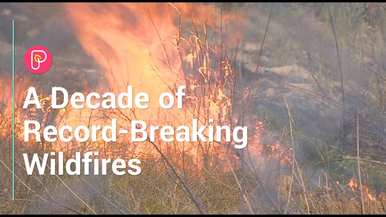 Extreme wildfire weather years + flooding