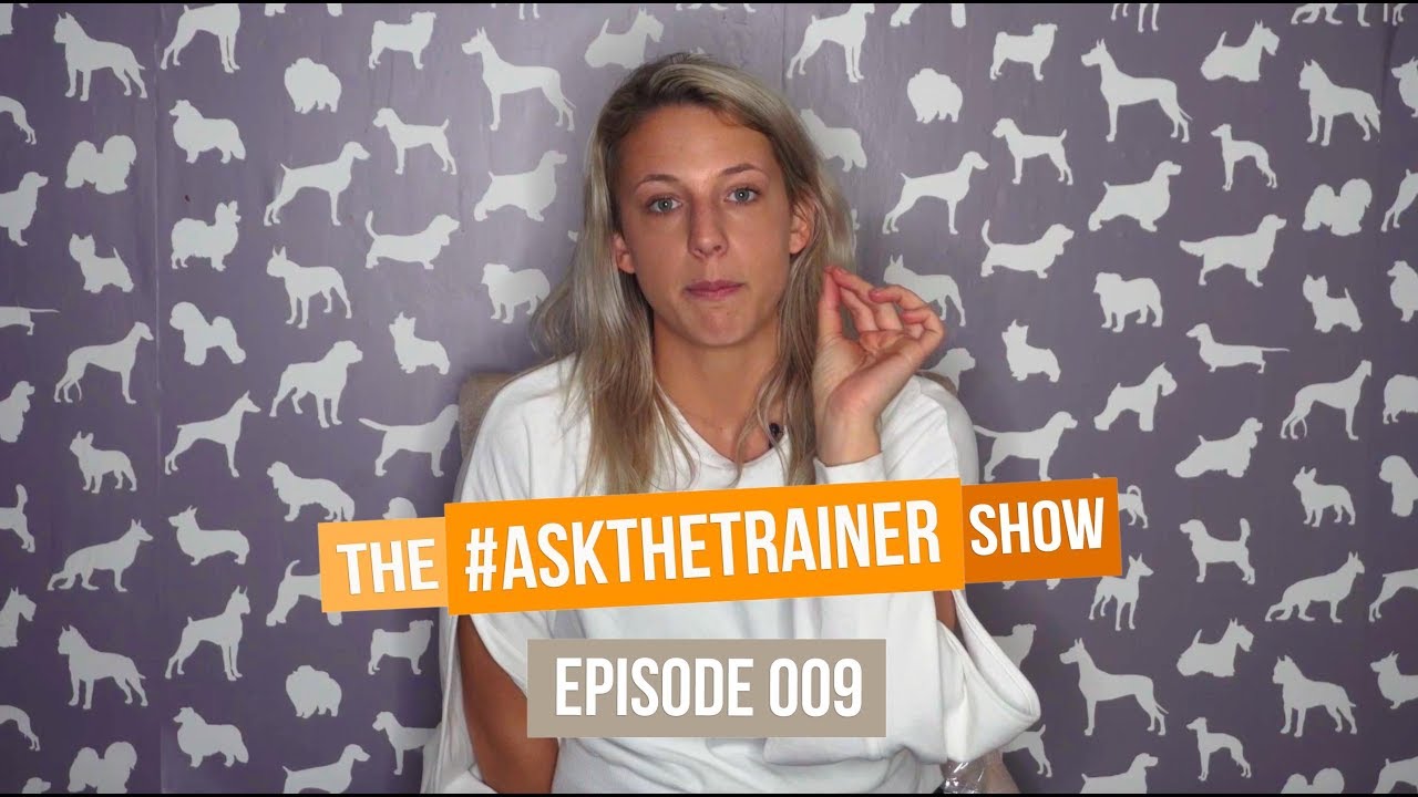 ADVICE FOR 1ST TIME DOG OWNERS & WHAT TO DO THE FIRST DAY YOU BRING A DOG HOME | #ASKTHETRAINER 009