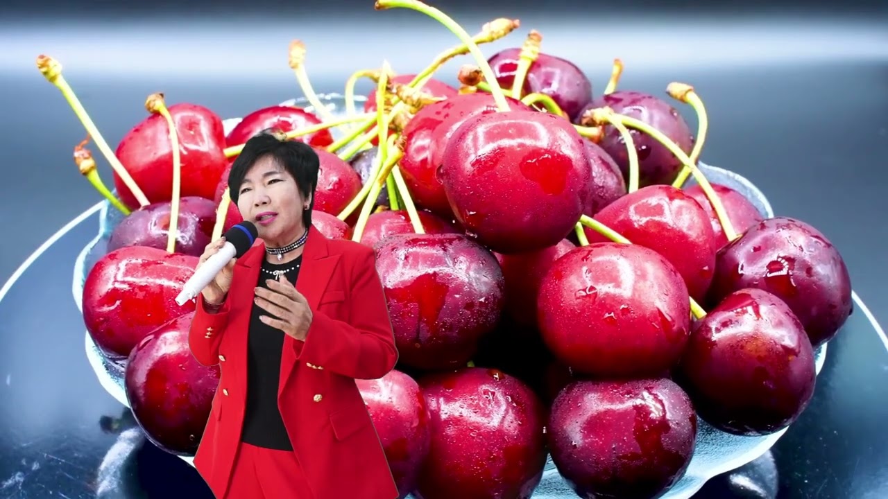 2026년 2월 11일